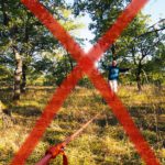 Slack-line dans le sous-bois