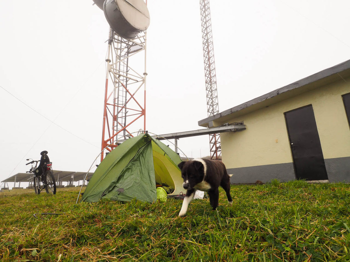 Bivouac au centre de communication militaire, avec Rufo