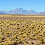 ... avec le désormais habituel fond aride et montagneux