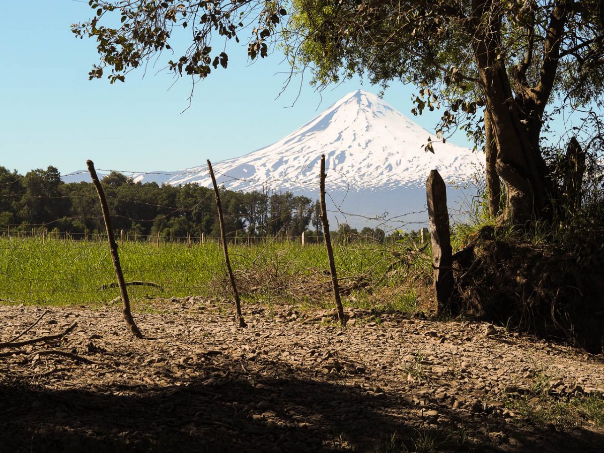 Volcan Llaima, parc national Conguillio