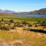 Parc National Los Alerces