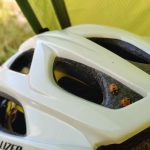 Des coccinelles partout