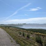 Bord de l'Elbe