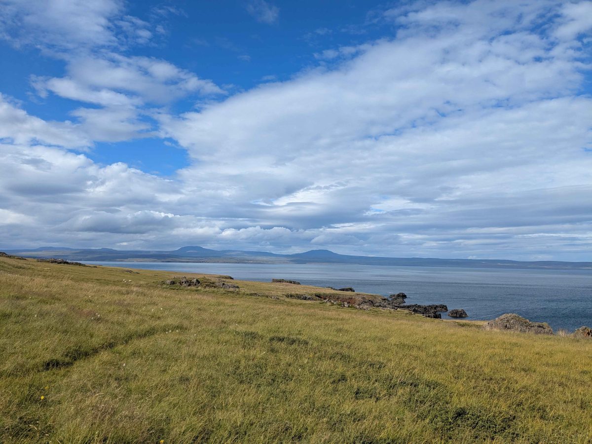 Face a Vopnafjörður
