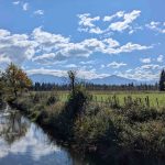 Les montagnes au loin