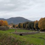 Grands espaces herbeux autour des remparts de Lucca
