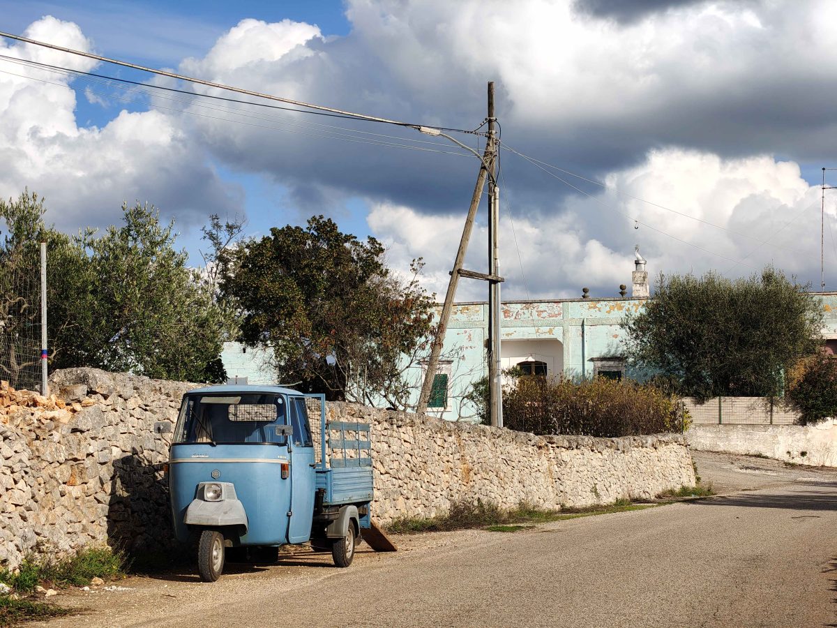 On en croise partout dans les campagnes