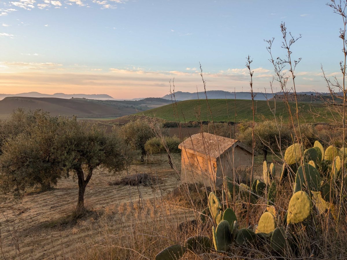 Un chouette coin de bivouac