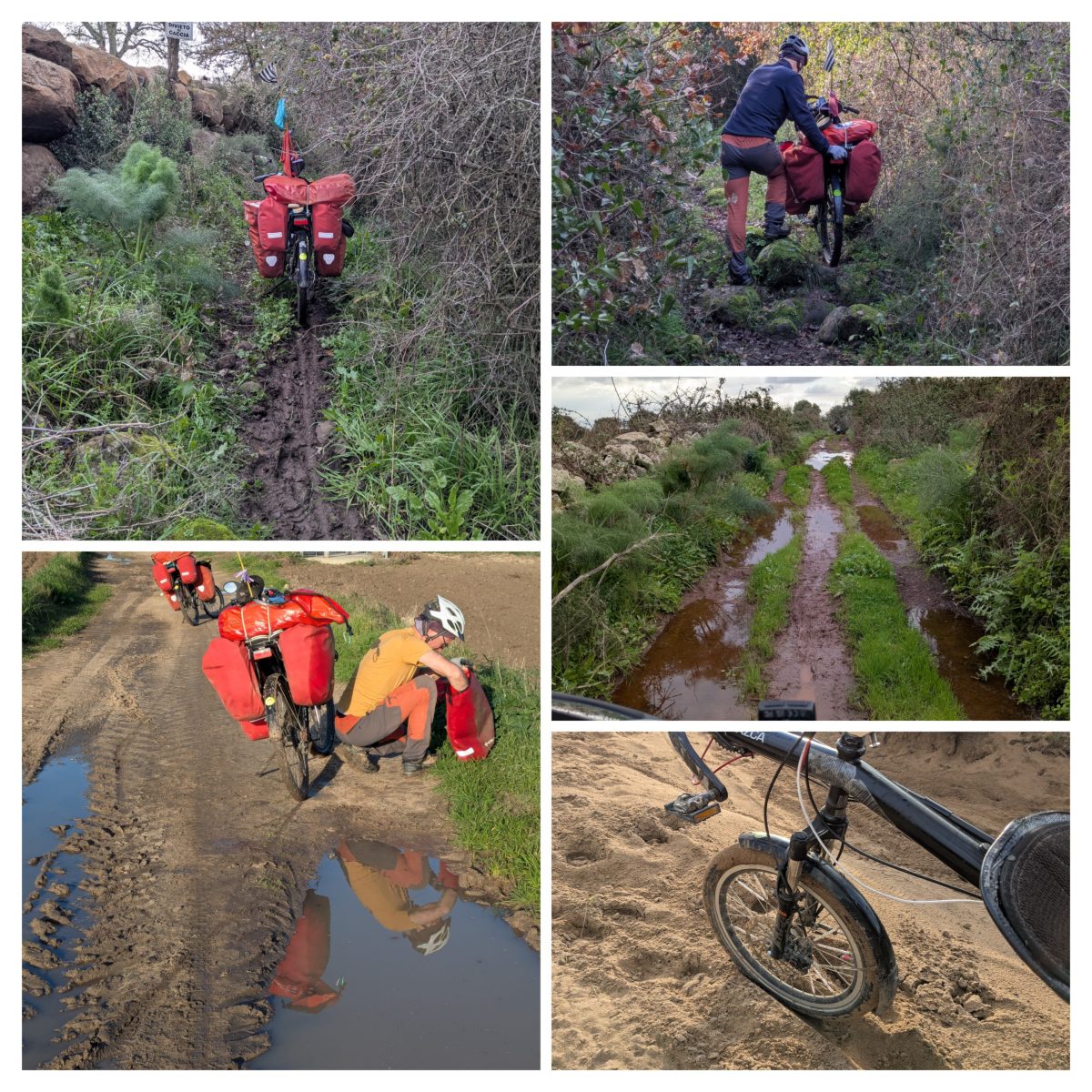 Les stada bianca en hiver !