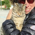 Compagnon pour le pique nique